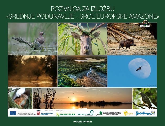 izložba