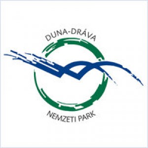 ddnpi logo